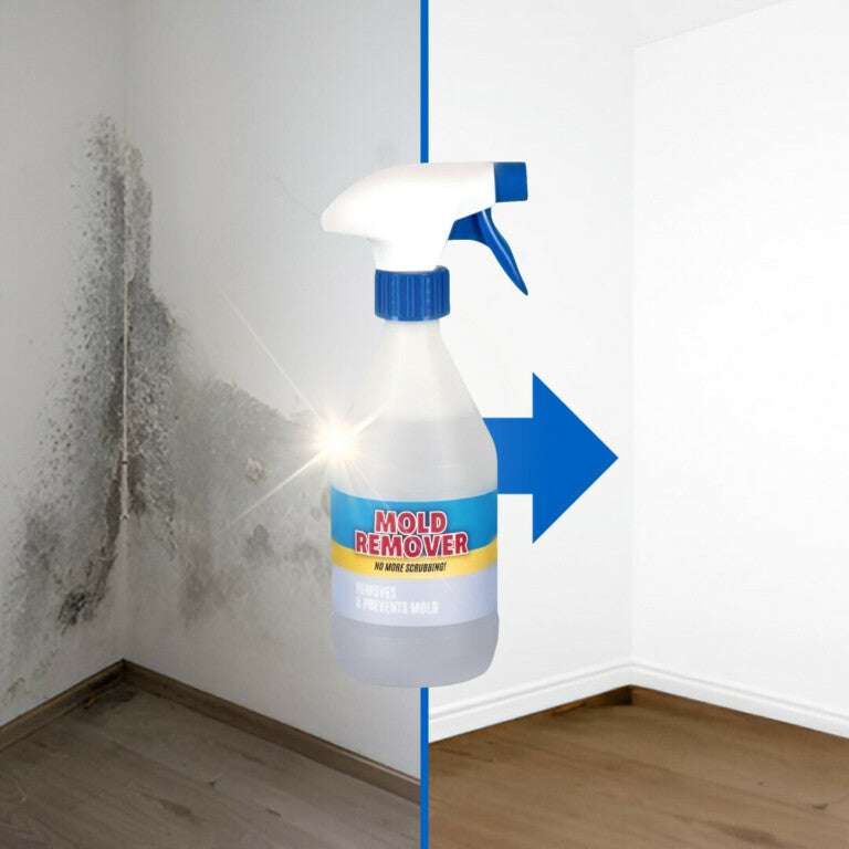 MegaMold™ Spray Anti-Muffa